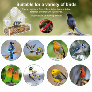 Clear Window Bird Feeder with Strong Suction Cups – Weatherproof Acrylic Bird House for Outside Garden – Up-Close Bird Watching for Robins, Blue Tits & Finches