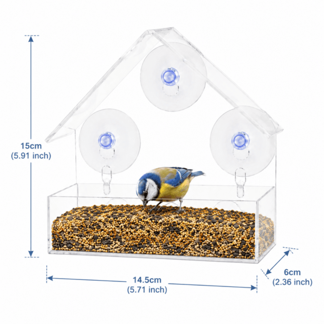 Clear Window Bird Feeder with Strong Suction Cups – Weatherproof Acrylic Bird House for Outside Garden – Up-Close Bird Watching for Robins, Blue Tits & Finches - Image 6