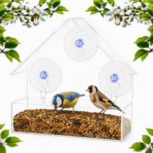 Window Bird Feeder